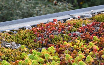 the cost of Elmhurst green roof installation