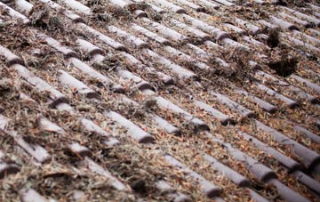 Elmhurst roof cleaning companies