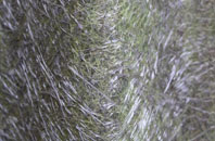 Elmhurst fibreglass roof work